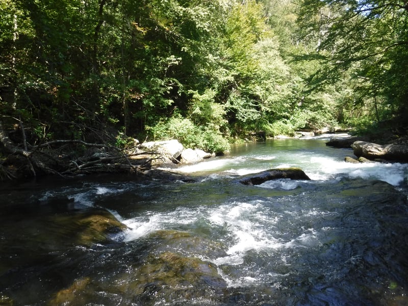 "Which Way?" rapid -- Gunpowder Gorge