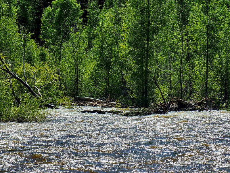 Upper Dolores River: strainer