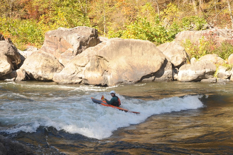 Swimmers
