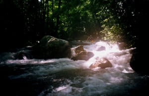 Creeking in SC