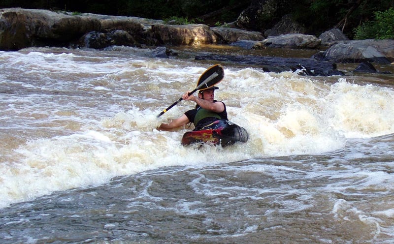 Dale Surfs