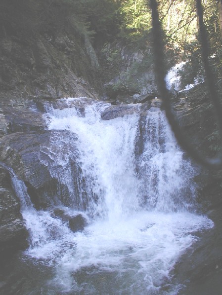 Observation deck falls