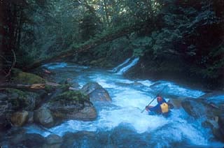Downey Creek