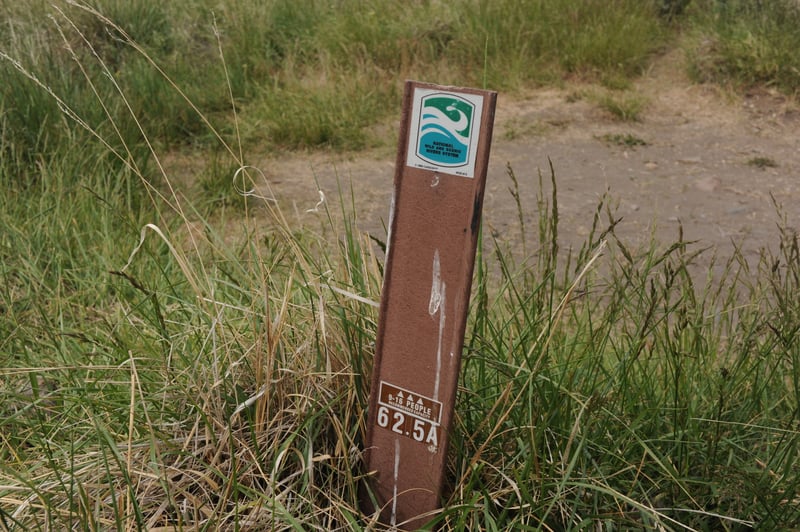 Johnson Flat Campsite Marker