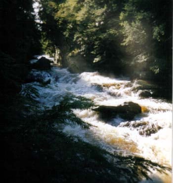 Upper box on Shohola Creek