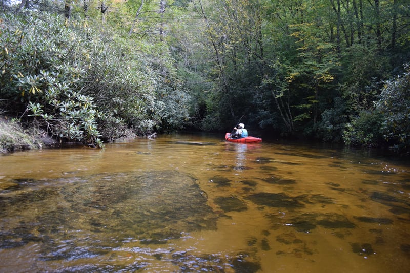 Paddling in