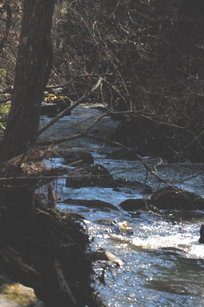 Flat Creek