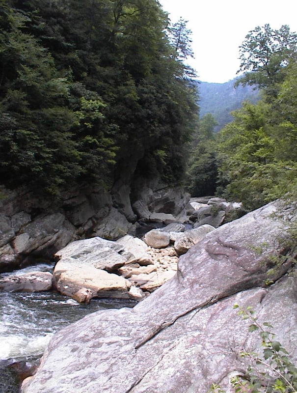 into the gnar