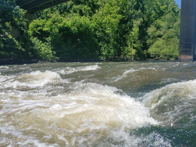 Cambell's Falls 2.3 Ft