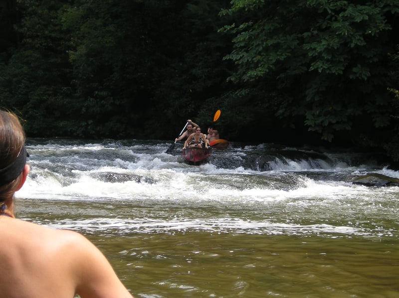 The Newman's hit the shoals