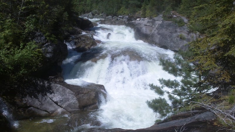 The Portage