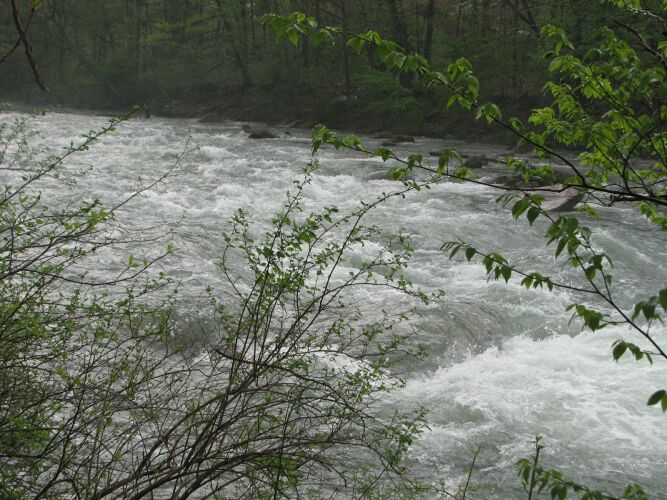 North Branch Potomac - Whitewater Release