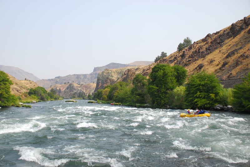 Whitehorse Rapid