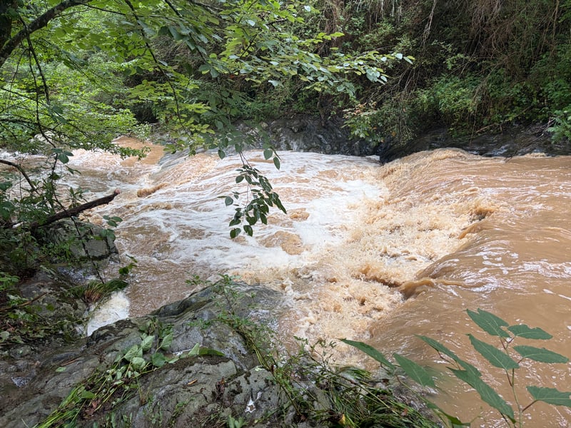 First Falls Lead In
