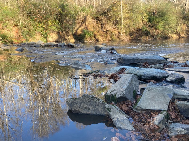 Bear Creek