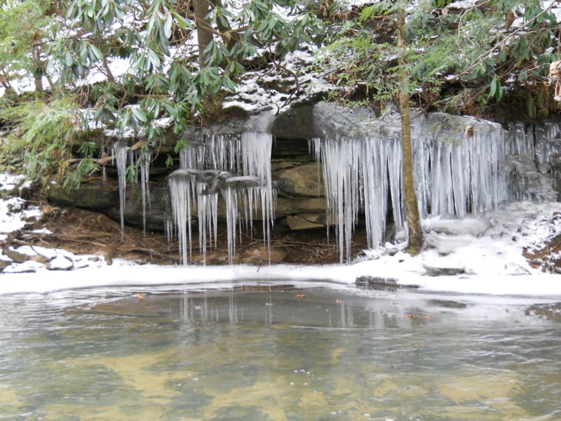 Ice curtains on Clear Fork between Peters bridge and Brewster bridge on 01/17/11