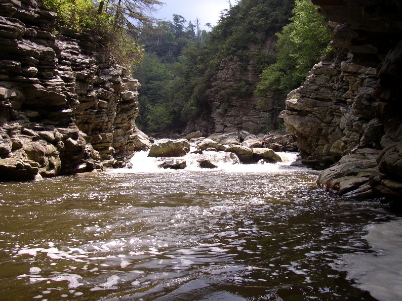 No scout, no portage