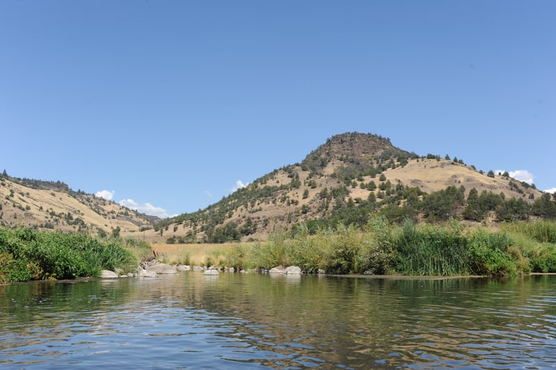 Jenny Creek Confluence