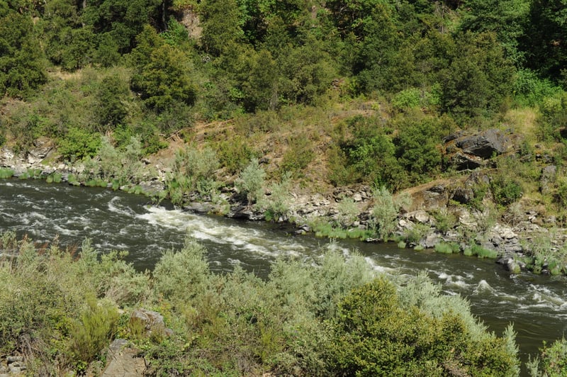 Rapid on the Klamath