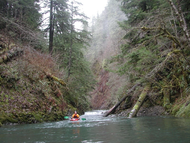 scenic canyons on the Middle Satsop