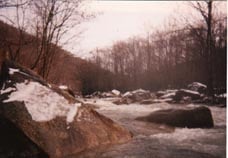 South Fork  of the Cherry