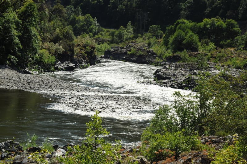 Wingate Rapid