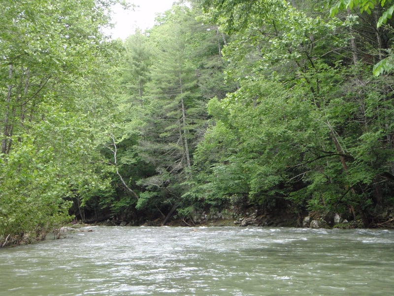  on Dunlap Creek @2. Crows (Route 311) to Jackson River
