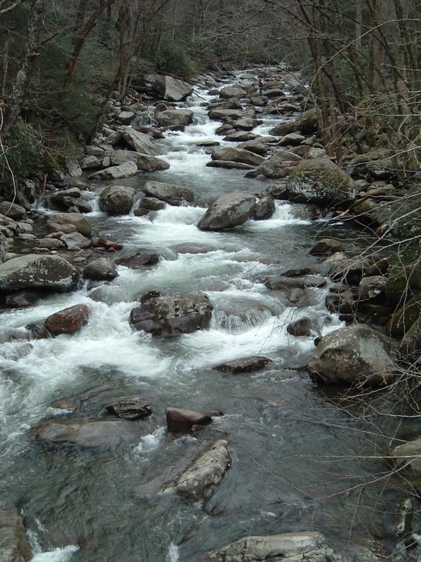 WEst Prong - From put-in bridge looking upstream