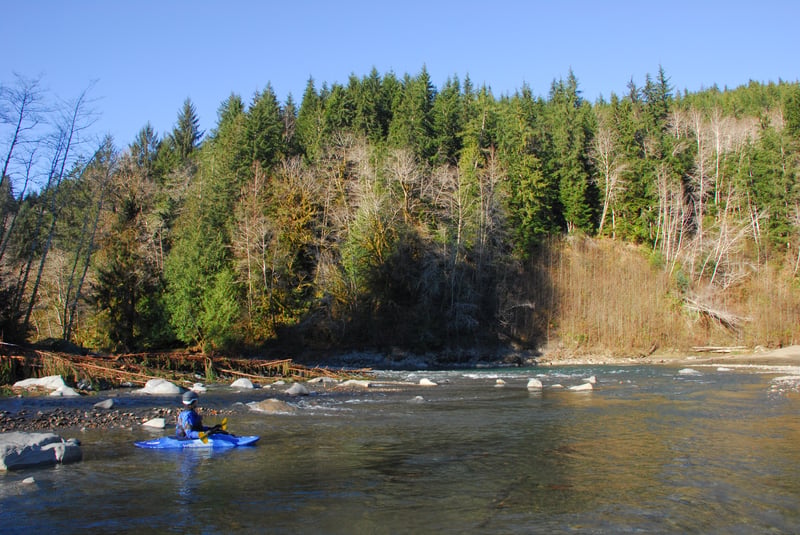 Bogachiel River