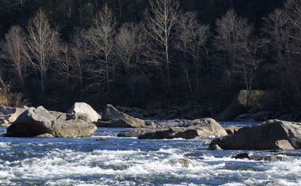 Top Gauley 07
