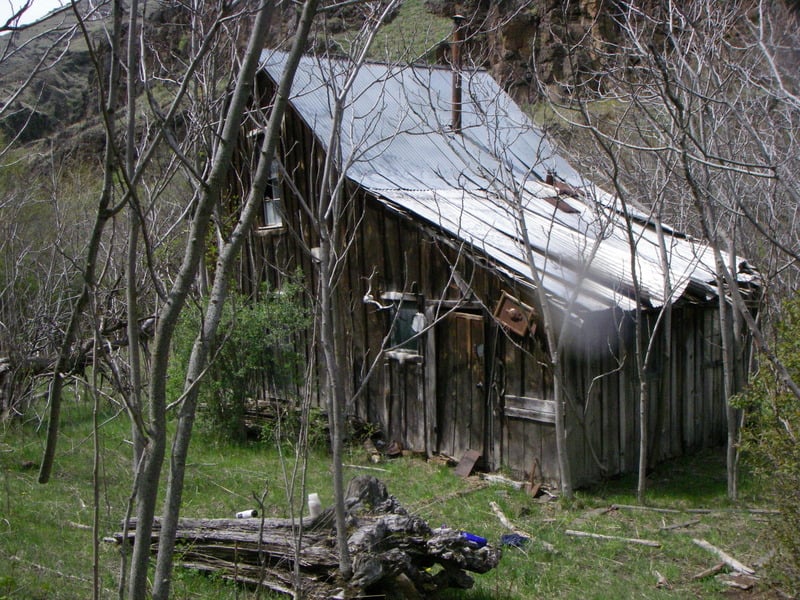 Old Cabin along Joseph Creek