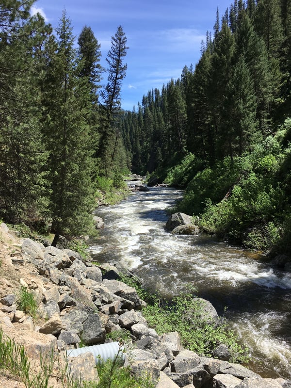  on Payette, Middle Fork @1. West Fork Bridge to upstream of Trail Creek