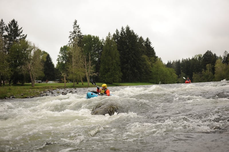 Rapid on the Nisqually