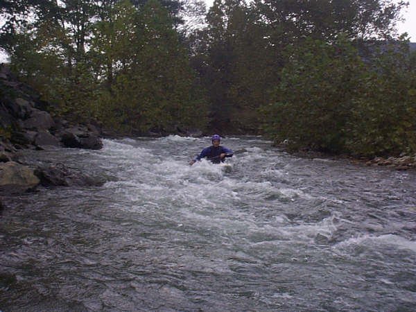 Typical  rapid 2