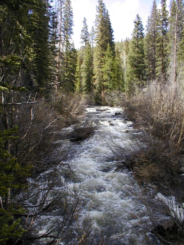 После того, как уровень воды в ручье Дуглас немного успокоился