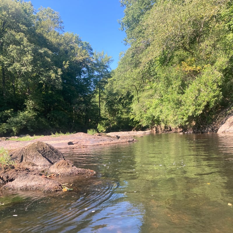 confluence with Cape Fear