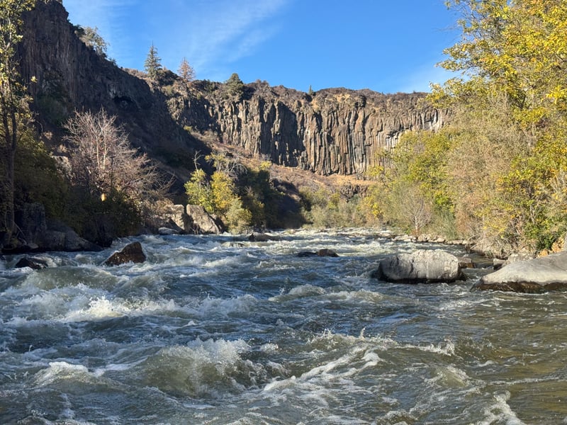 Near bottom of rapid