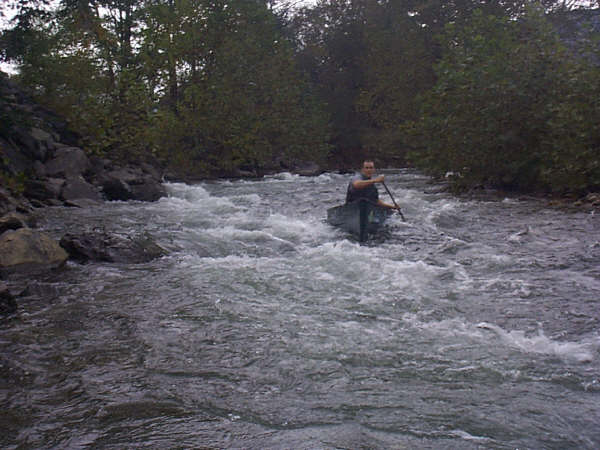 Typical rapid