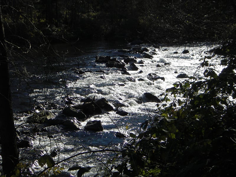 The Weir