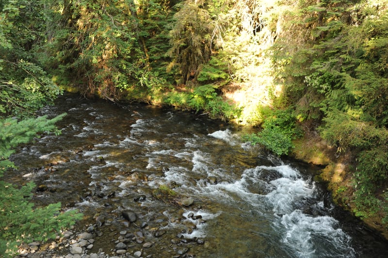 View of the River from the Bridge