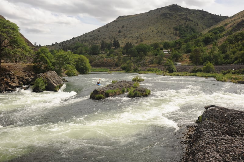 Oak Springs Rapid