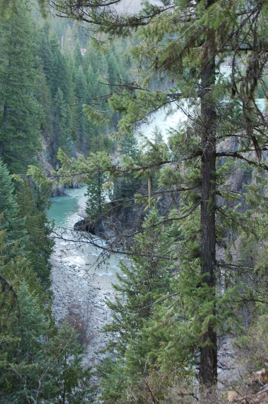 Lake Creek Runout