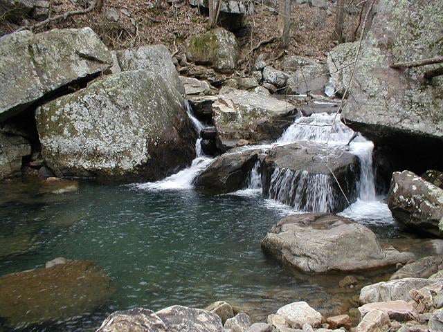 Gulf Creek #4