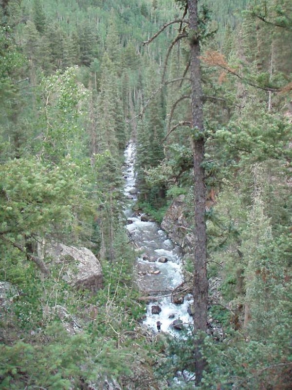 Elk Creek birds-eye
