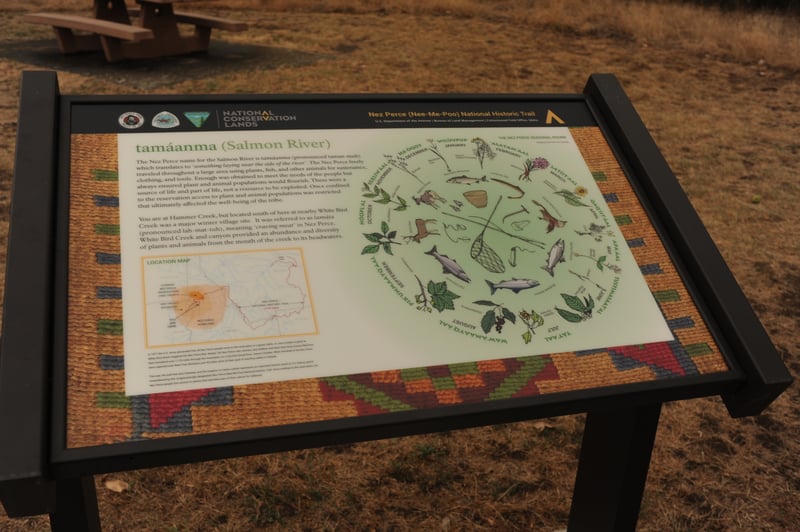 Interpretive Panel