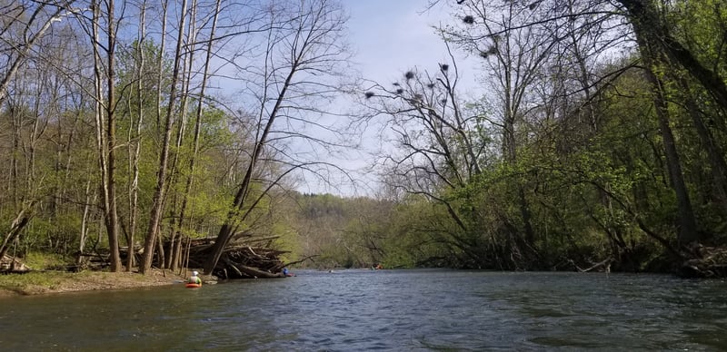 Reed Creek @Major Grahams Rd, Route 619, AKA the Loop