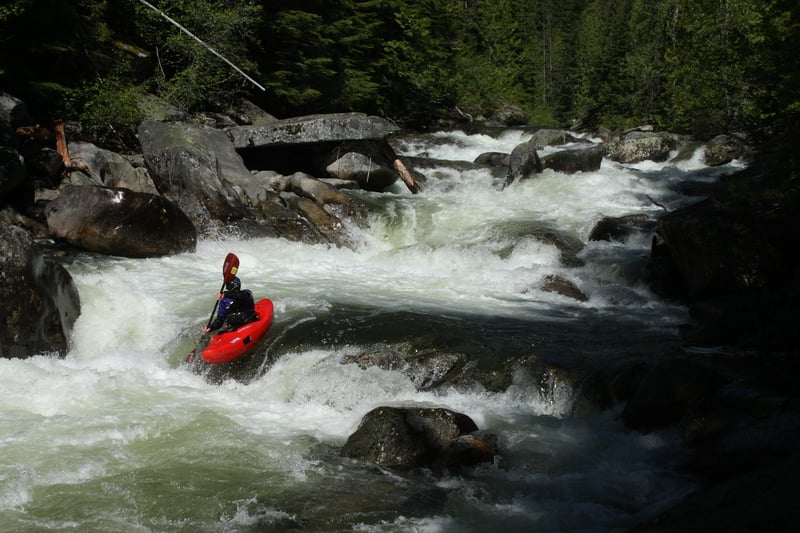 Nice Smith Creek Rapid