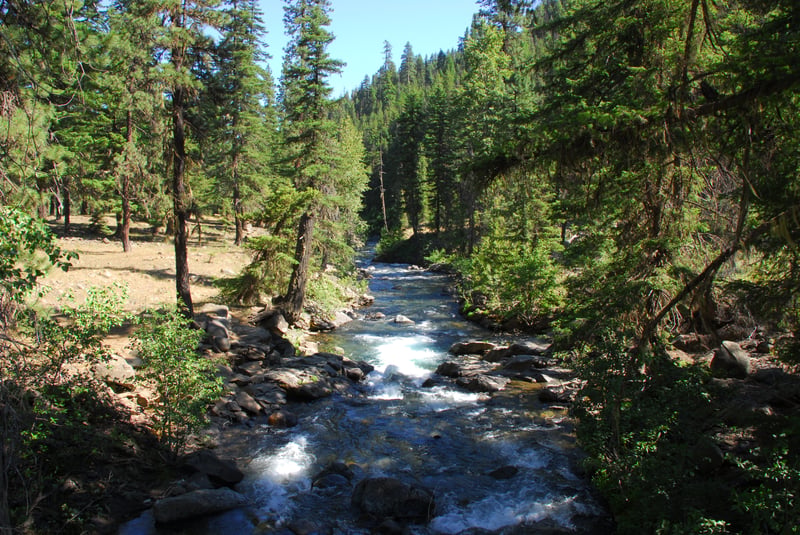 North Fork Teanaway Rapid