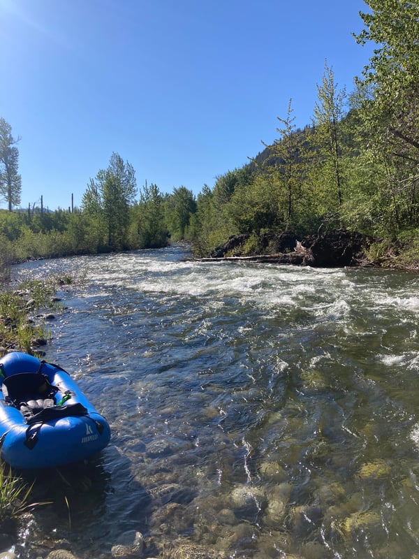 Second Rapid
