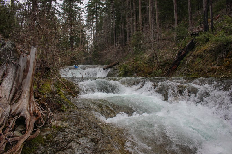  on Silver Creek, North Fork @Headwaters to Illinois River